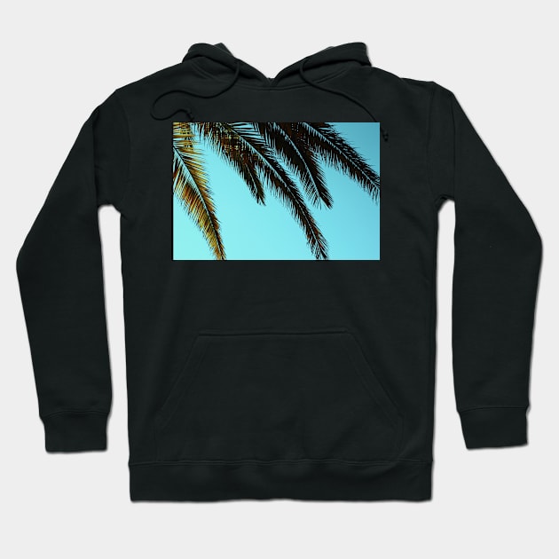 Tropical Palm Leaves Hoodie by NewburyBoutique